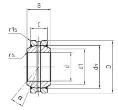 DGE-E_2RS_drawing
